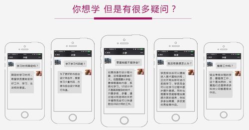 成都軟件開(kāi)發(fā)與UI設(shè)計(jì)實(shí)訓(xùn)基地 零基礎(chǔ)學(xué)員招生與計(jì)算機(jī)軟件咨詢(xún)服務(wù)